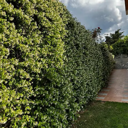 B&B La Dolce Sosta-2